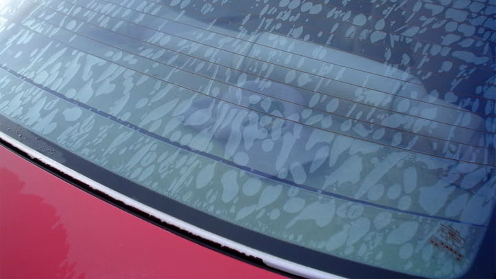 tinted window sticker