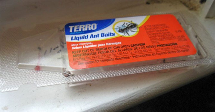 ant bait for car