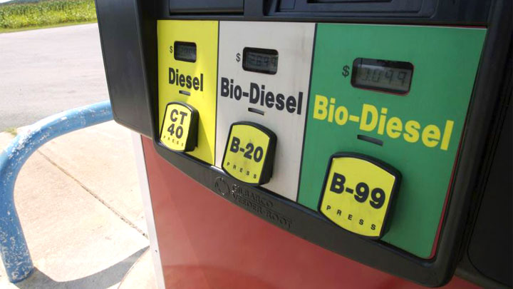 biodiesel fuel