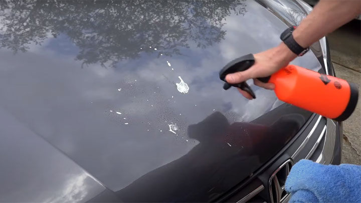 Don't Let Bird Poop Ruin Your Paint! (How to PROPERLY Remove It)