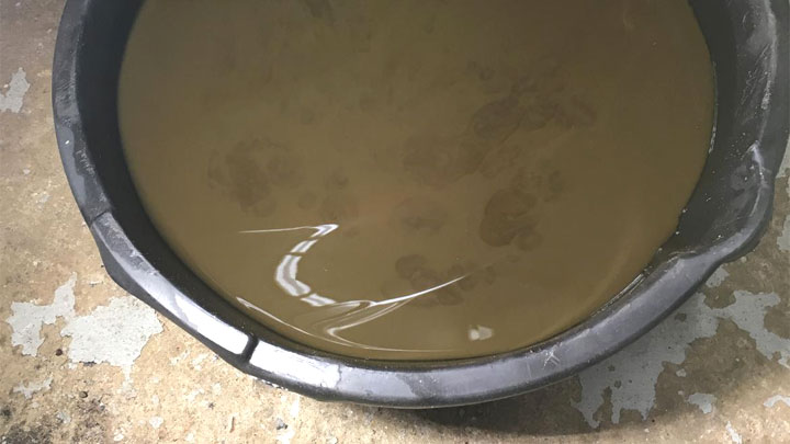 coolant in oil