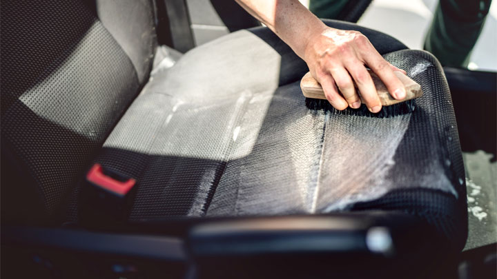 Get Rid Of Mold From Car Interior 