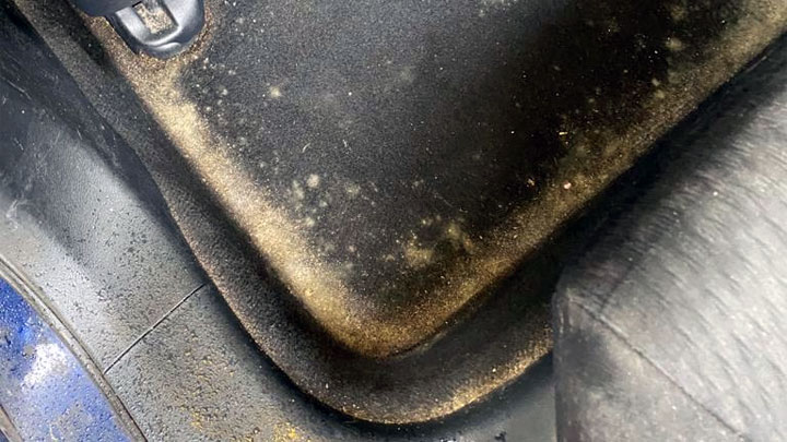 mold car floor