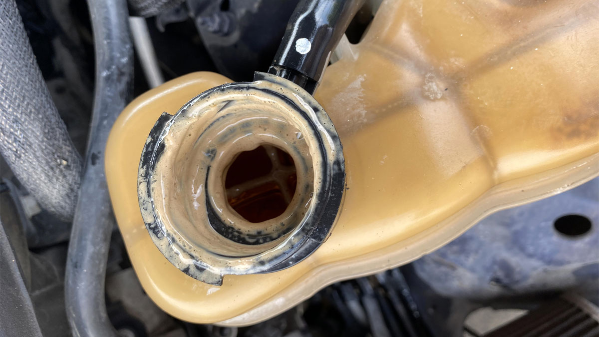 oil in coolant overflow