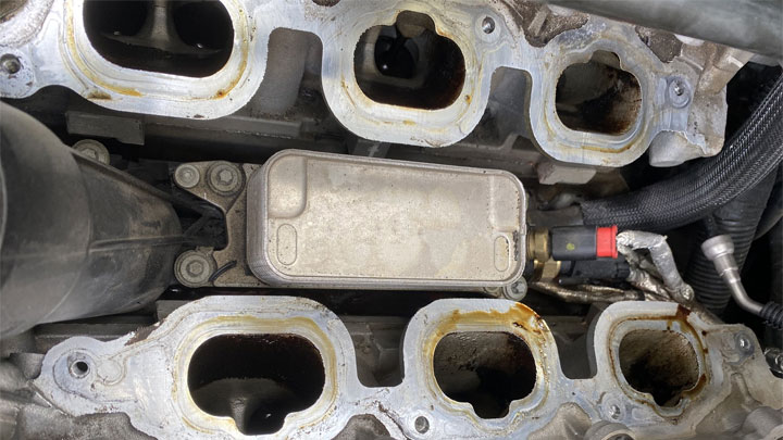 Why is There Oil in My Intake Manifold (or Throttle Body)?