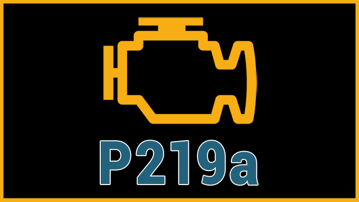 p219a code