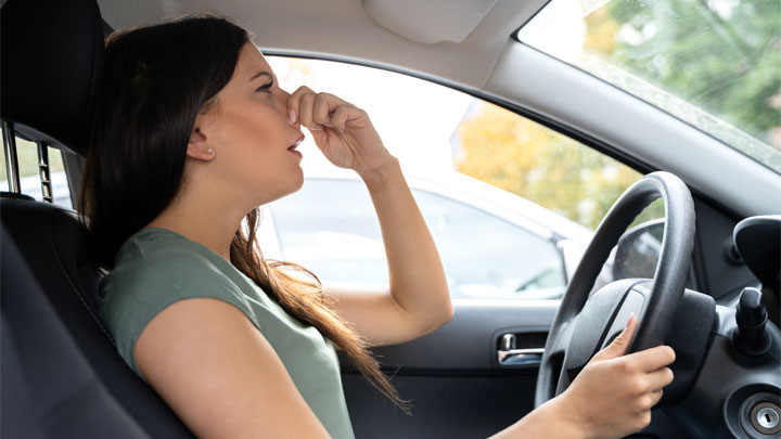 Car Smells Like Rotten Eggs?!? (Here’s What to Check)