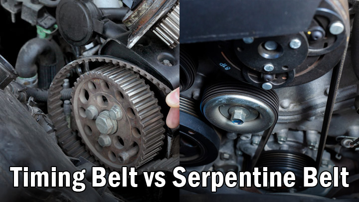 timing belt vs serpentine belt